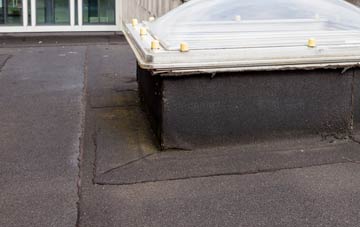 disadvantages of Shadwell flat roofs